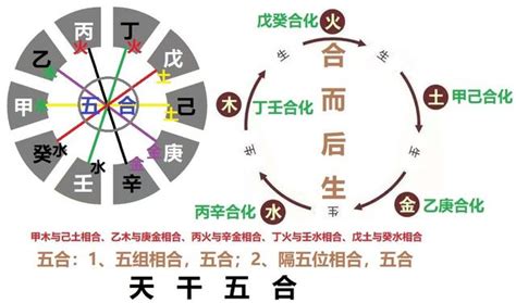 丁壬合婚姻|天干五合：丁壬合